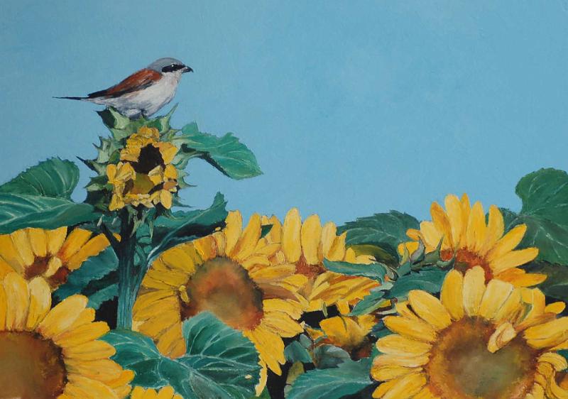 oiseau dans les tournesols.jpg - Painting oil on paper -Huile sur papier format /size 40x60